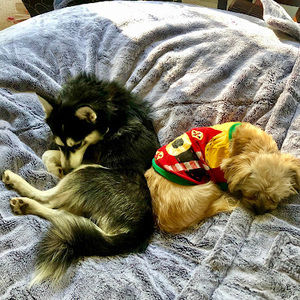 Meet your Posher, Arianna